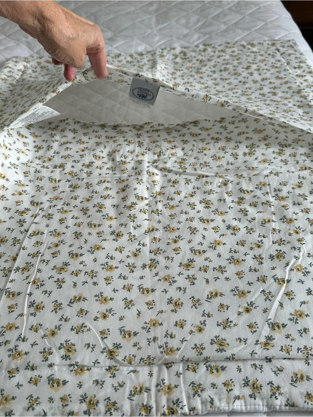 Laura Ashley Antoinette Shams Pair